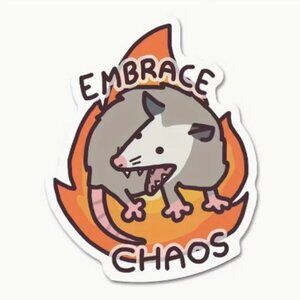 NEW Embrace Chaos Sticker - Small